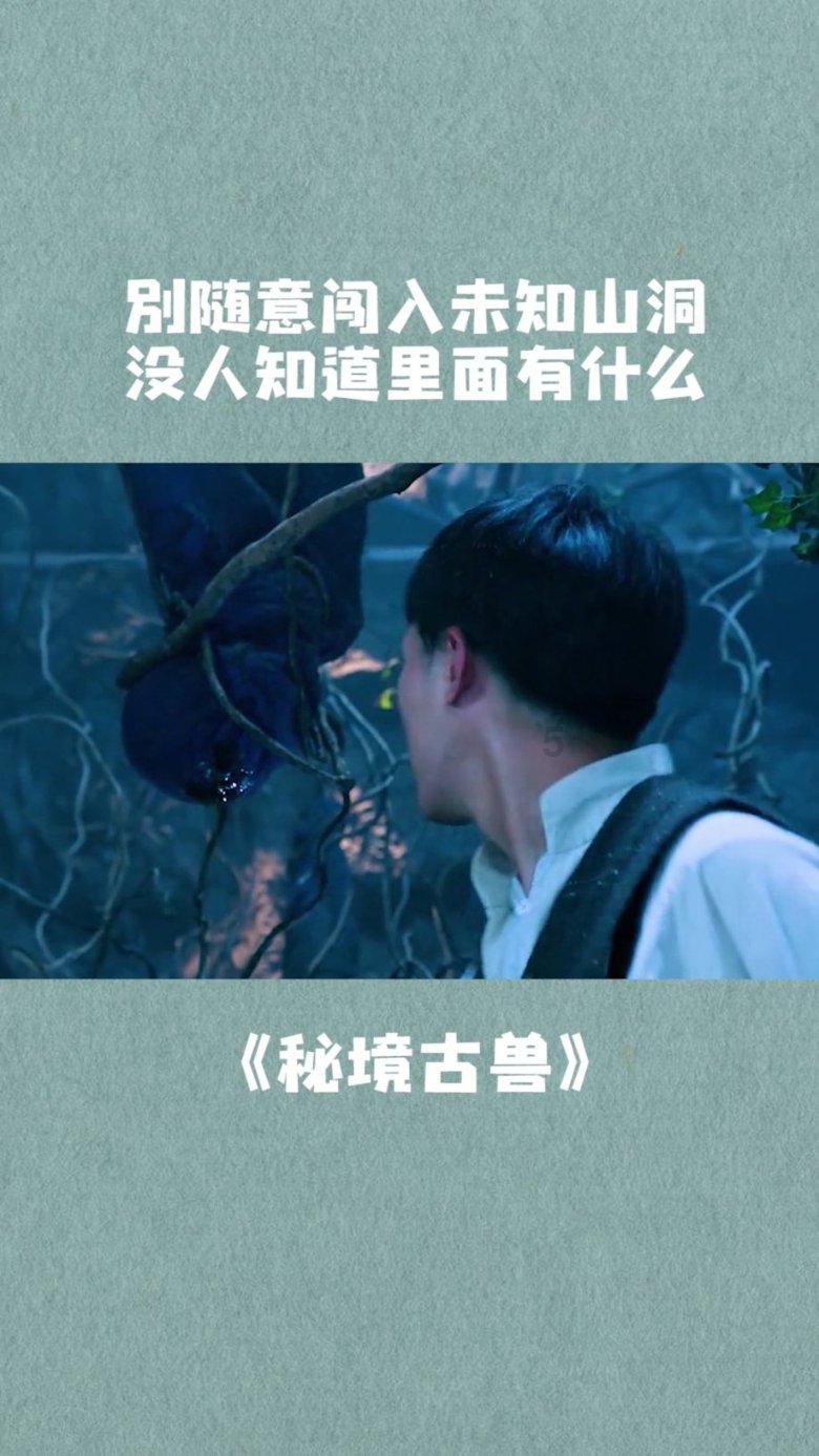 失业老公化身“政府领导” 轮椅女骗亲友几百万 被抓时健步如飞?